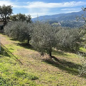  Appartamento Vigna De' Luceri